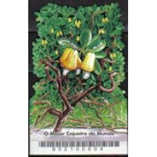 Bloco B 141 - Ano 2006 - Maior Cajueiro do Mundo - Novo