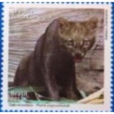 C-3217- Animais da Fauna Brasileira: Gato-Mourisco - Ano 2012