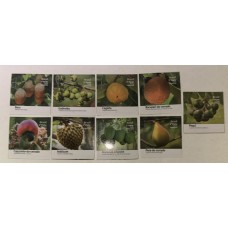 C-3641/3649 (Selos do Bloco B 196) Frutas do Cerrado - Novo 