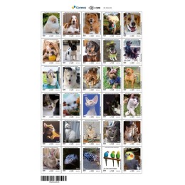 C-3762 /3791- (Selos Destacados da Folha ) Série América – Animais Domésticos - Ano 2018 - Novo C-3762 /3791- (Selos Destacados da Folha ) Série América – Animais Domésticos - Ano 2018 - Novo