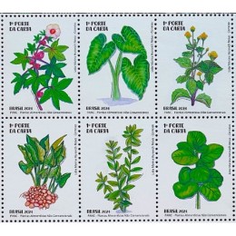 C -4148/ 4153(Conjunto) - PANC - Plantas Alimentícias Não Convencionais - 2024 - Novo C -4148/ 4153(Conjunto) - PANC - Plantas Alimentícias Não Convencionais - 2024 - Novo