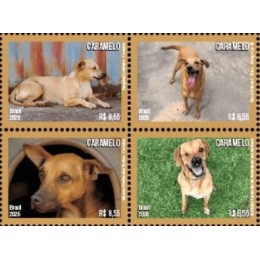 C -4204/4207 (Quadra) - Cachorro Caramelo - Ano 2026 - Novo