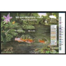 Bloco B 151 - Ano 2009 - Rio São Benedito - Pará - Pesca Esportiva - Novo