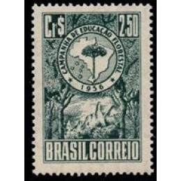 C -382 - Campanha de Educação Florestal - Ano 1956 