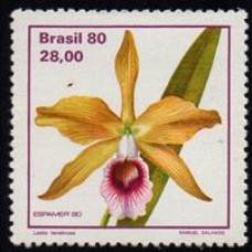 C-1165 - Orquídeas Brasileiras - Ano 1980