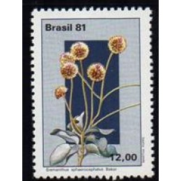 C-1220 - Flora Brasileira - Flores do Planalto Central - Ano 1981