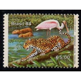 C-1396 - Pantanal Matogrossense - 1984 