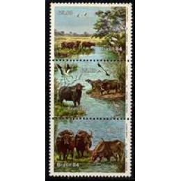 C-1403/1405 (conjunto)  - Búfalos de Marajó - 1984 
