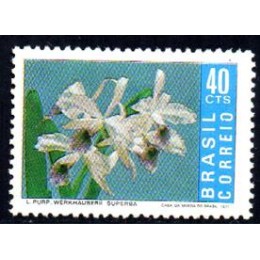 C -713 - Promoção da Orquídea Brasileira -  Ano 1971