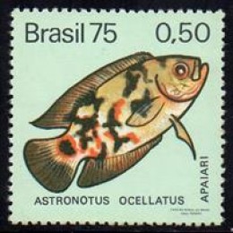 C -887 - Peixes Brasileiros de Água Doce - Ano 1975