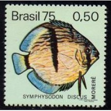 C-0890 - Peixes Brasileiros de Água Doce - Ano 1975