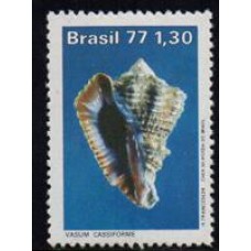 C-0992 - Moluscos do Brasil - Ano 1977