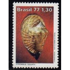 C-0993 - Moluscos do Brasil - Ano 1977
