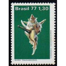 C-0994 - Moluscos do Brasil - Ano 1977