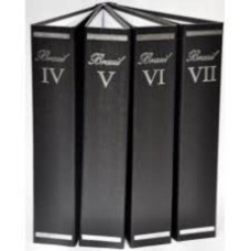 Capa para o Àlbum Brasil - Volume VII