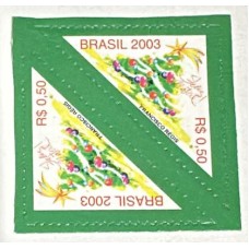 C-2543 - Natal - Tête - Ano 2003