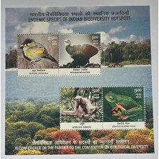 Bloco da India - Fauna - Ano 2012
